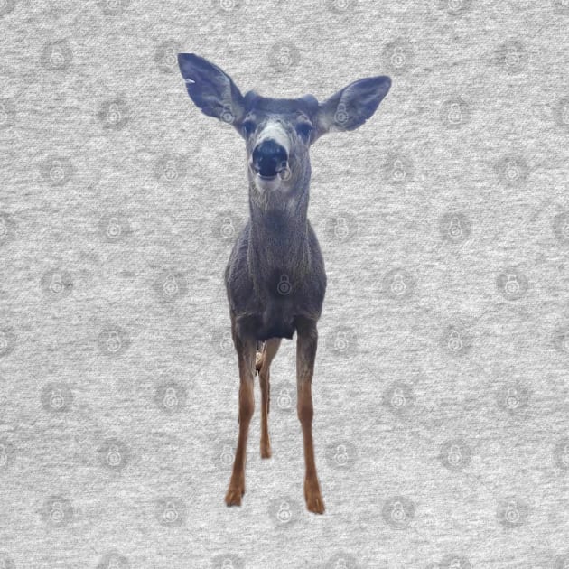 Cute Deer by Lexi Simpson Original Art